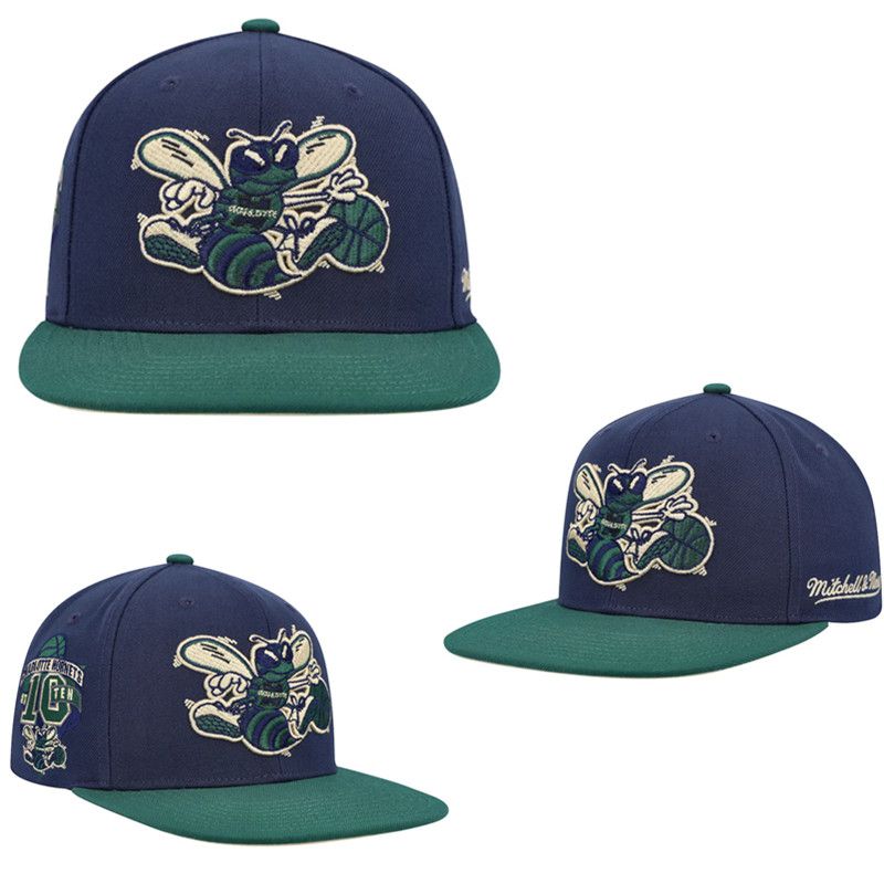 2025 NBA Charlotte Hornets Hat TX20250307